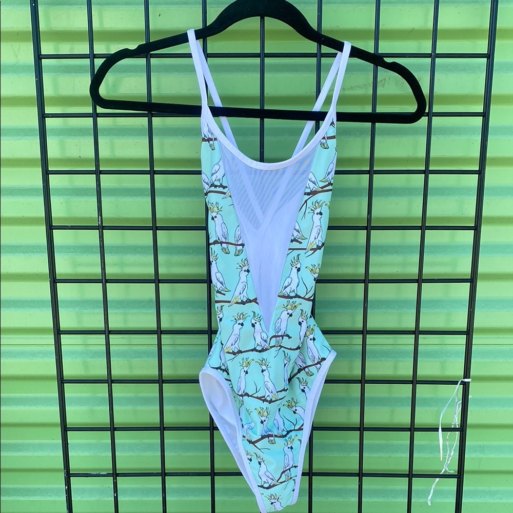 Deep sheer V swimsuit